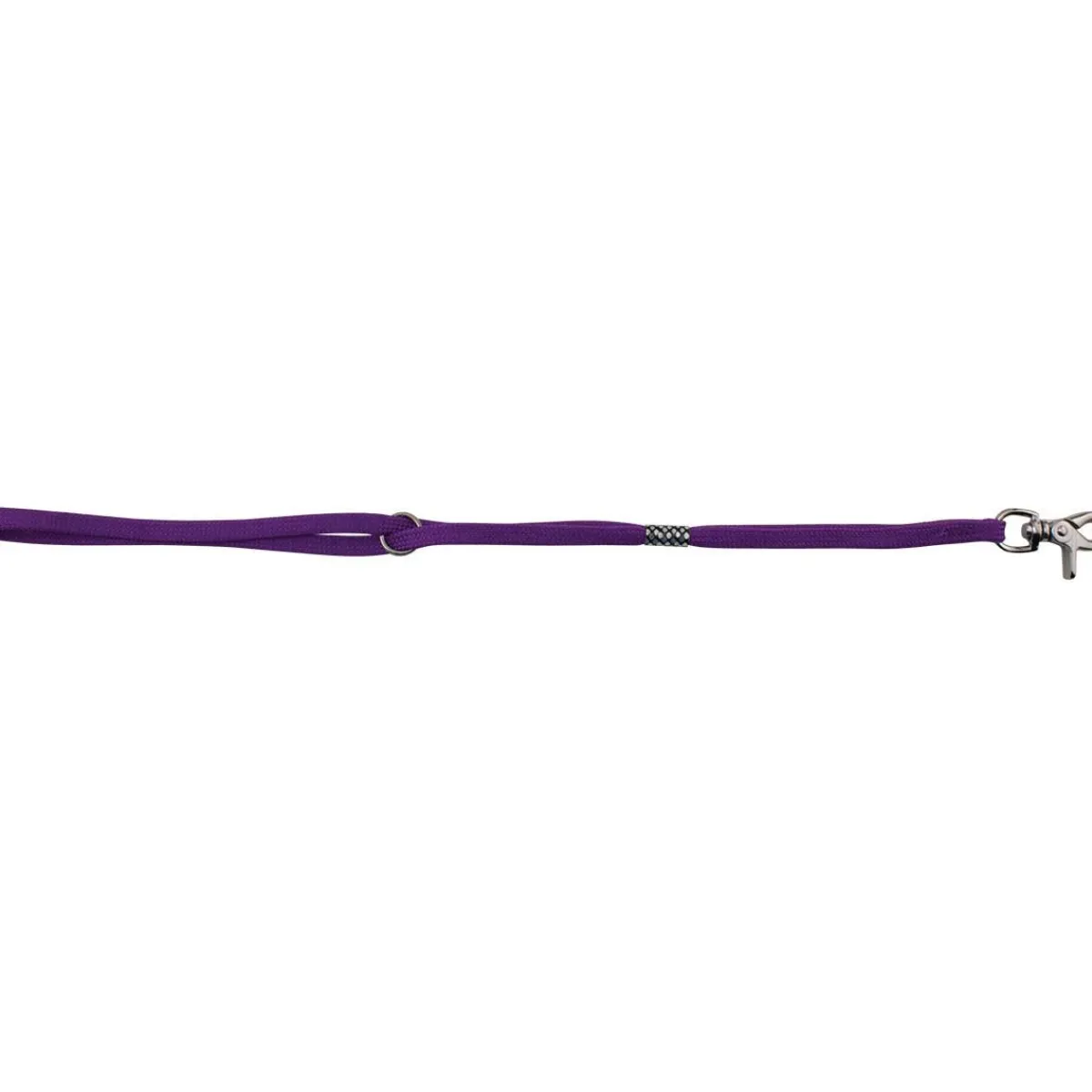 Ryan's Pet Supplies Paw Brothers Slip-Style Fashion Grooming Loop Purple