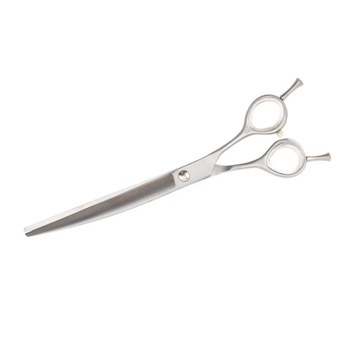 perfect_groom_aspire__inch_super_curved_shears_1.webp Ryan's Pet Supplies Perfect Groom Aspire 7.5 Inch SUPER Curved Shears