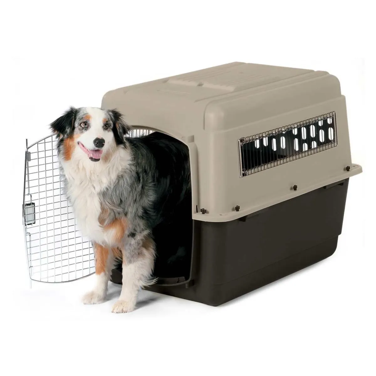 Ryan's Pet Supplies Petmate Ultra Vari Kennel 50-70 lbs
