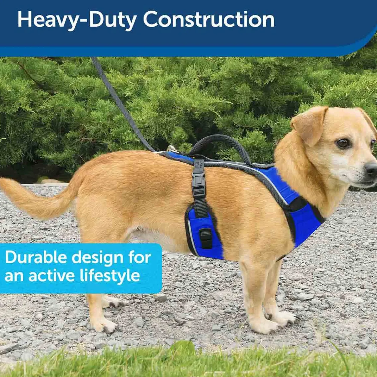 Ryan's Pet Supplies Petsafe EasySport Quick-Snap Reflective Harness for Dogs