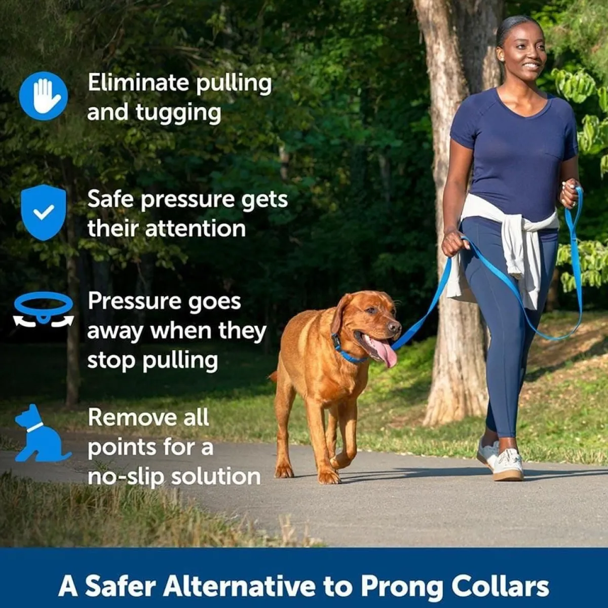 petsafe_soft_point_black_training_collar_3.webp Ryan's Pet Supplies Petsafe Soft Point Black Training Collar