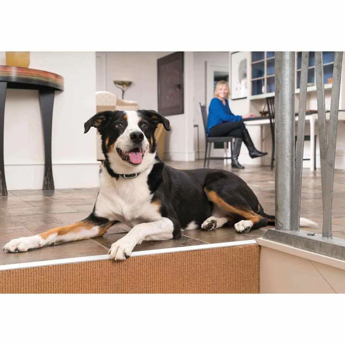 Ryan's Pet Supplies PetSafe Yard Remote Trainer 300 Yard Collar