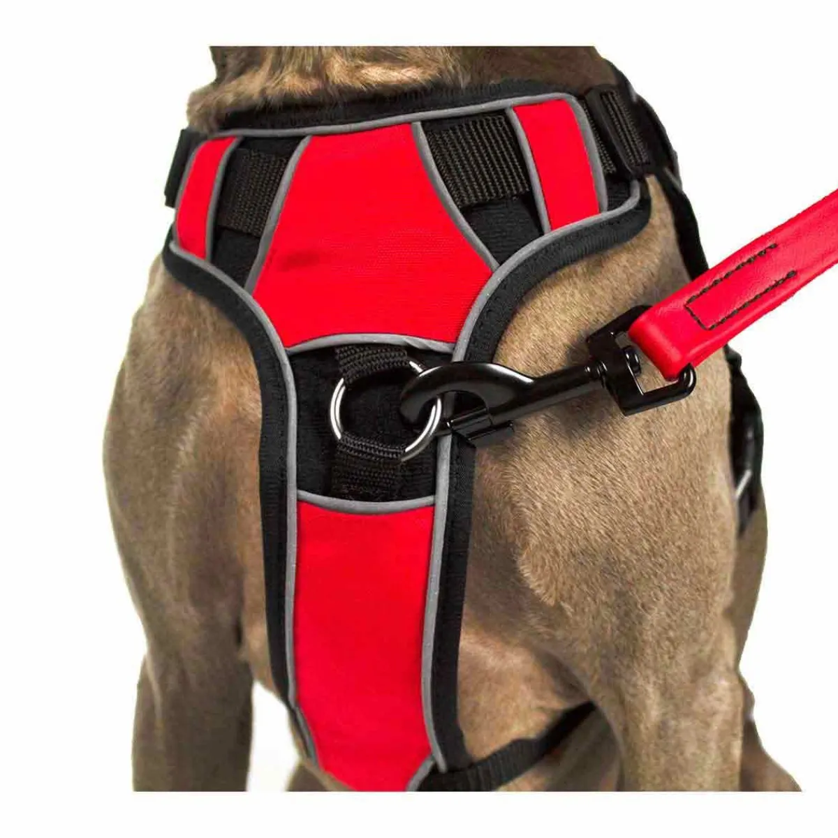 quest_multipurpose_dog_harness_size_small_quotquot_3.webp Ryan's Pet Supplies Quest Multipurpose Dog Harness Size Small 21"-25"