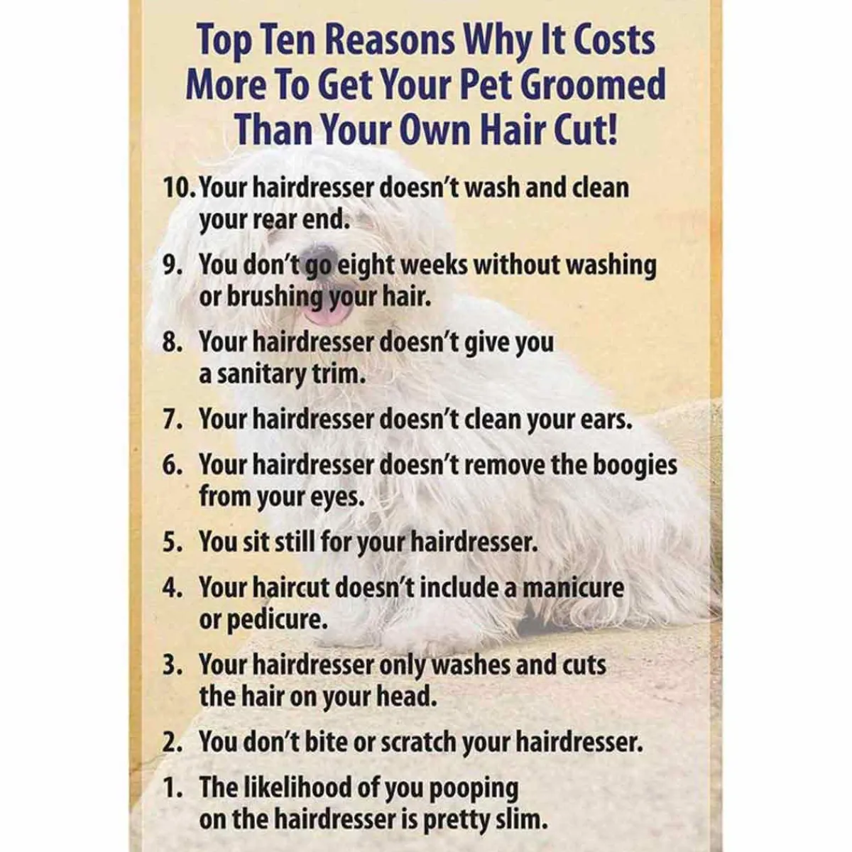 Ryan's Pet Supplies 10 Reasons Poster   11 X 17  W/ Mat Frame
