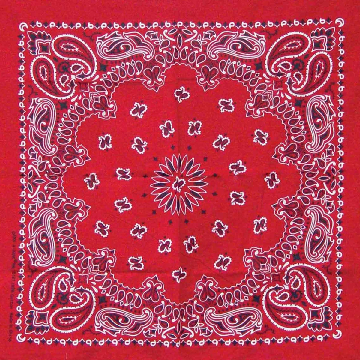Ryan's Pet Supplies Red Paisley Pet Bandana