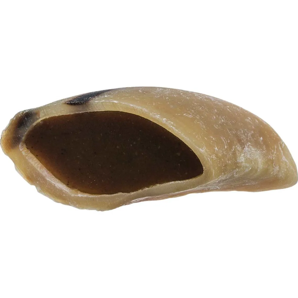 Ryan's Pet Supplies RedBarn Filled Hooves-Beef