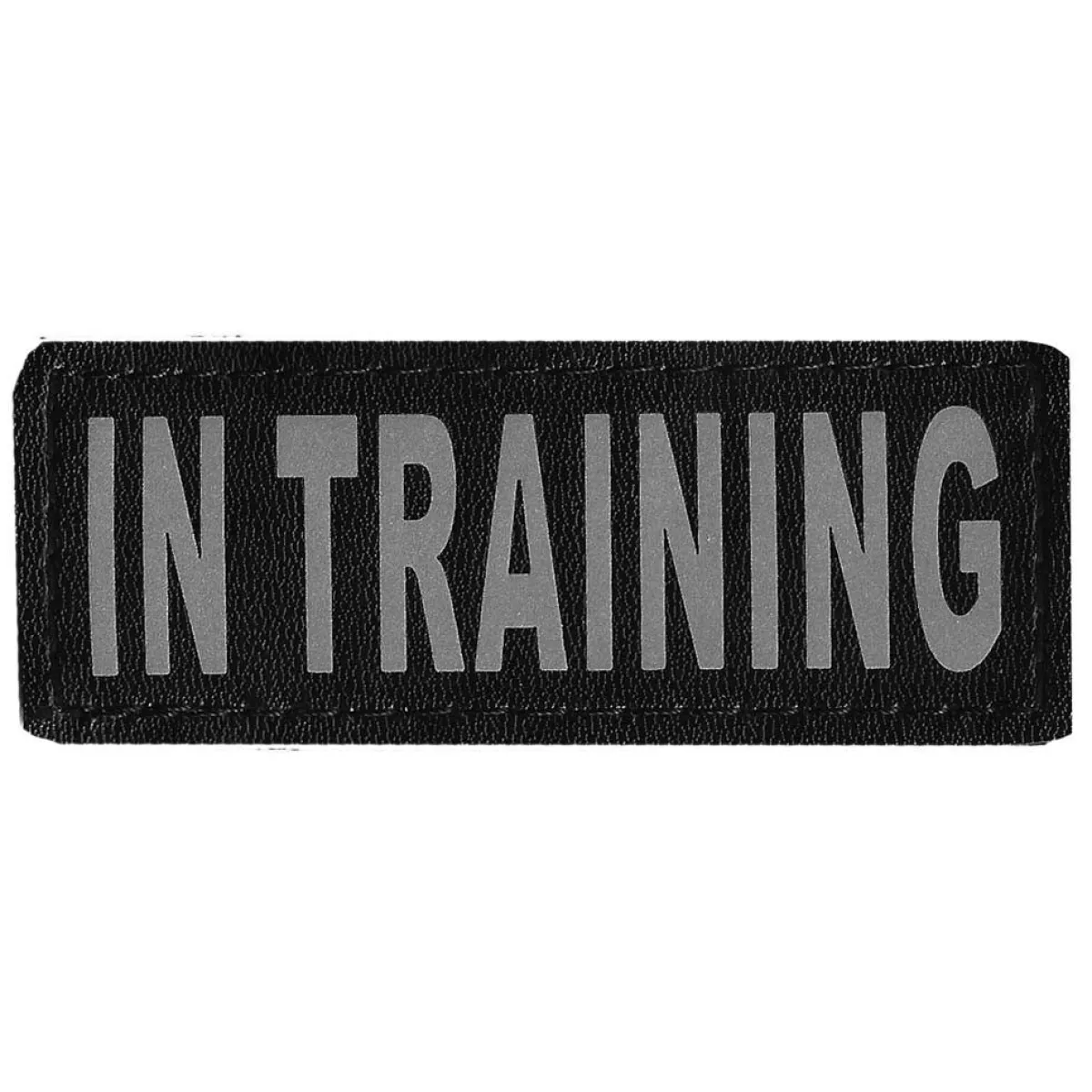 Ryan's Pet Supplies Removable Pet Vest "In Training" Patch - 2 Pack