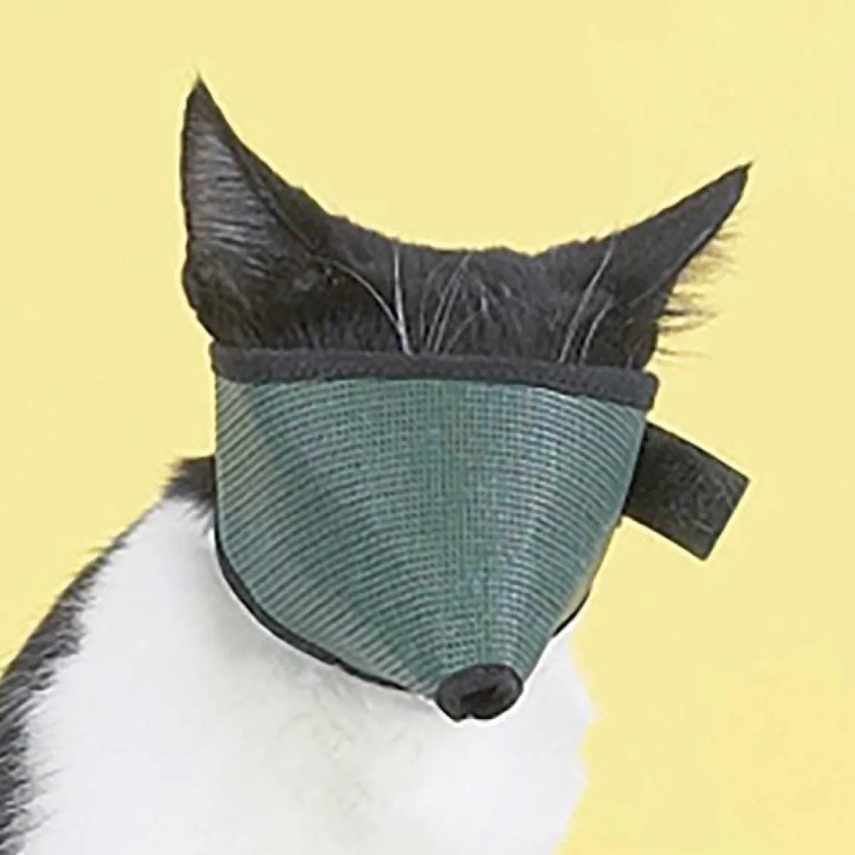 Ryan's Pet Supplies Small Cat Muzzle