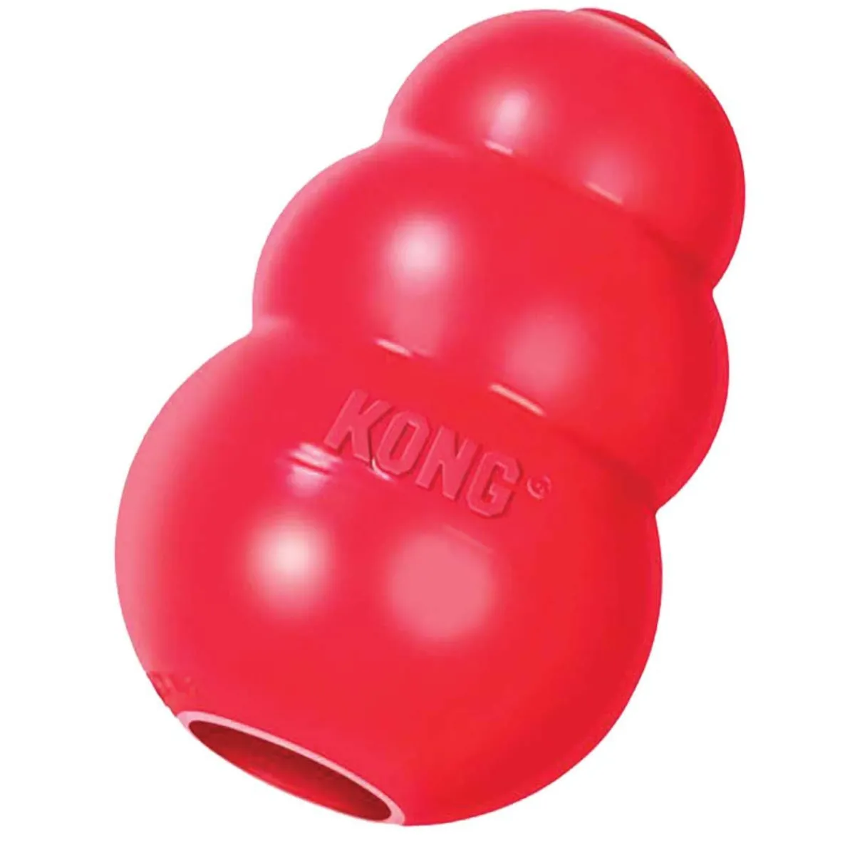 Ryan's Pet Supplies Small Red KONG®