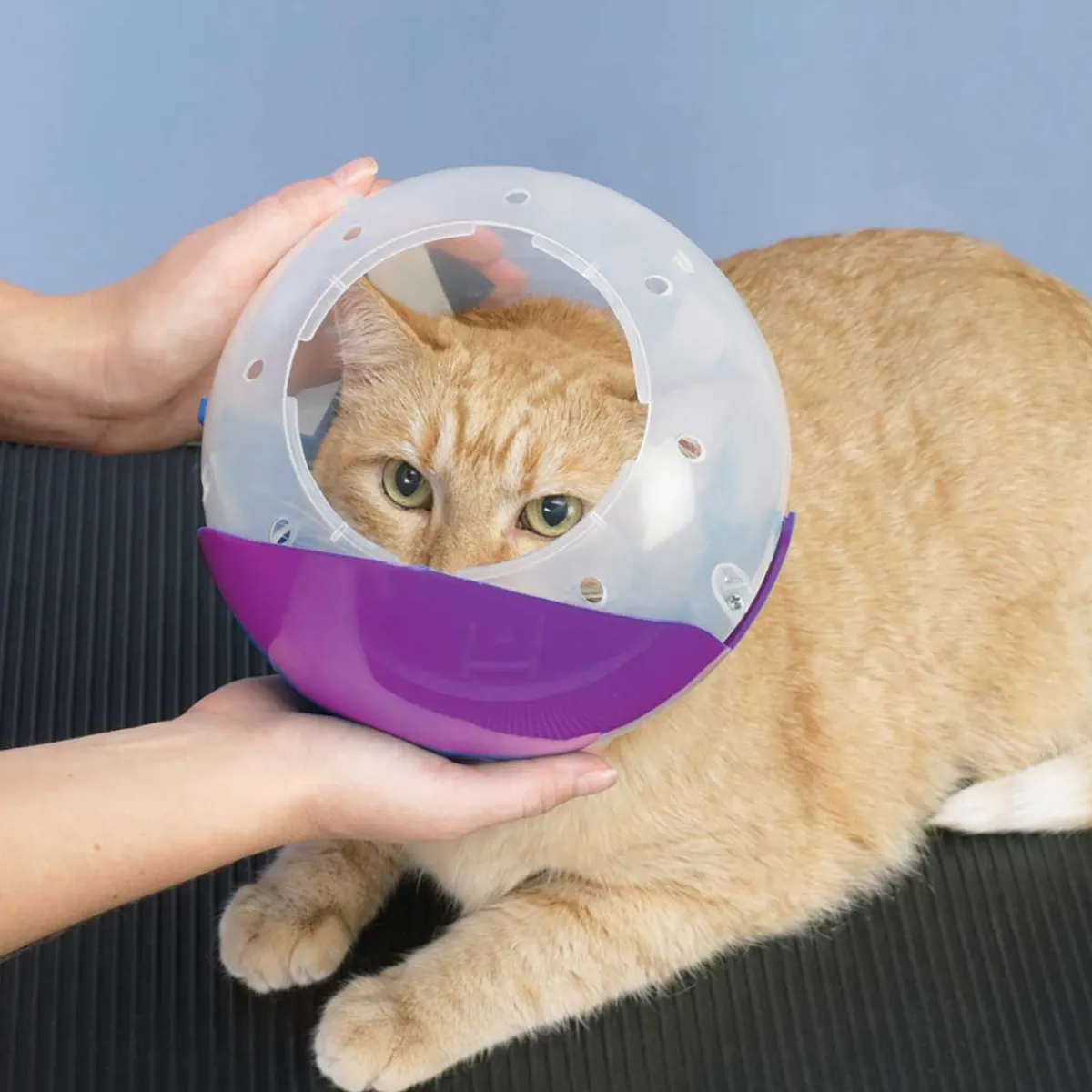 Ryan's Pet Supplies Soft Claws Cat and Small Dog Air Muzzle II