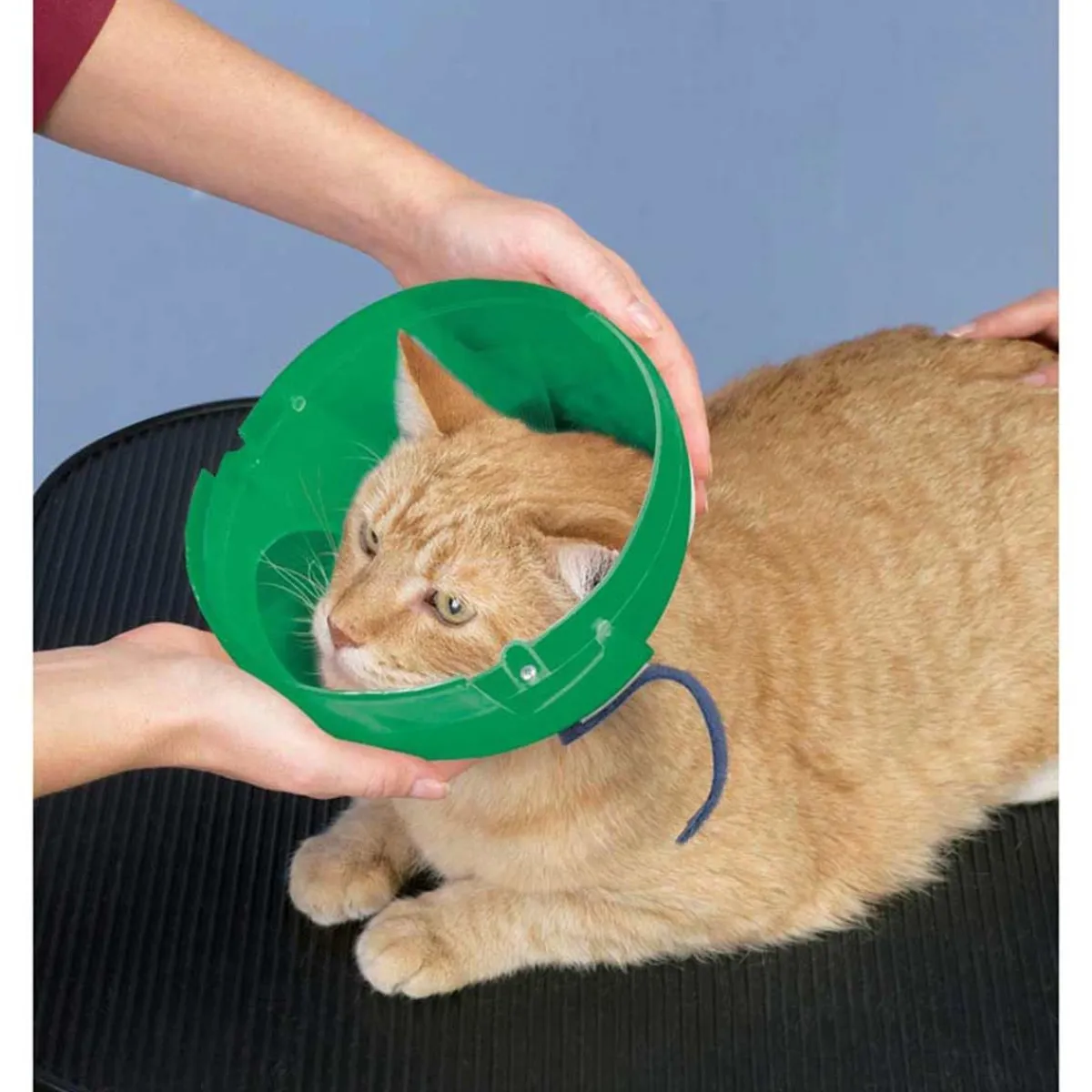Ryan's Pet Supplies Soft Claws E-Collar For Dogs and Cats