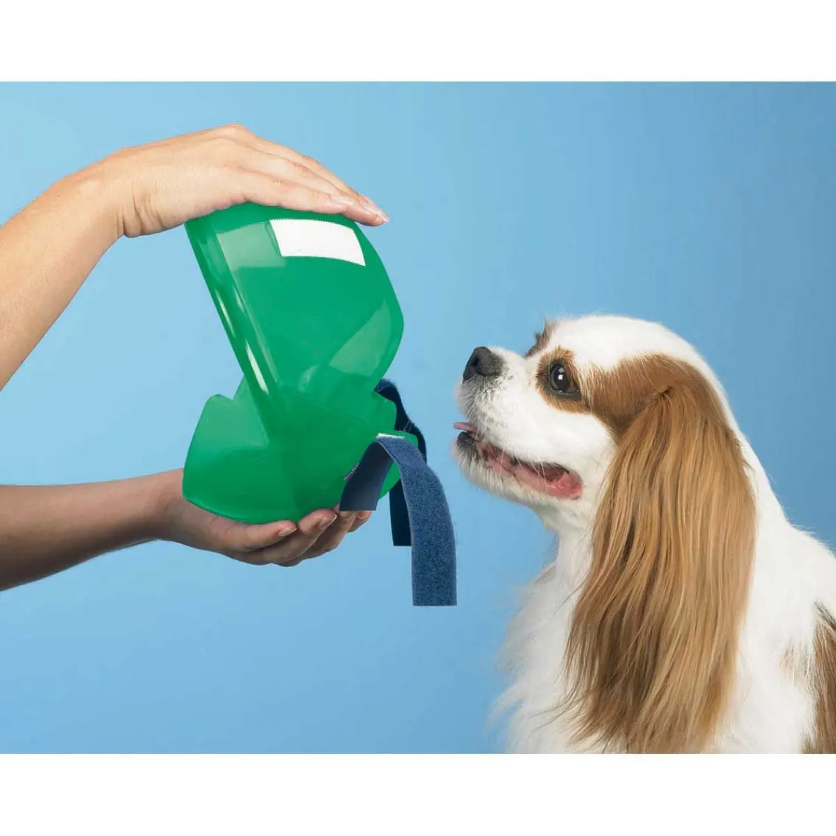 Ryan's Pet Supplies Soft Claws E-Collar For Dogs and Cats