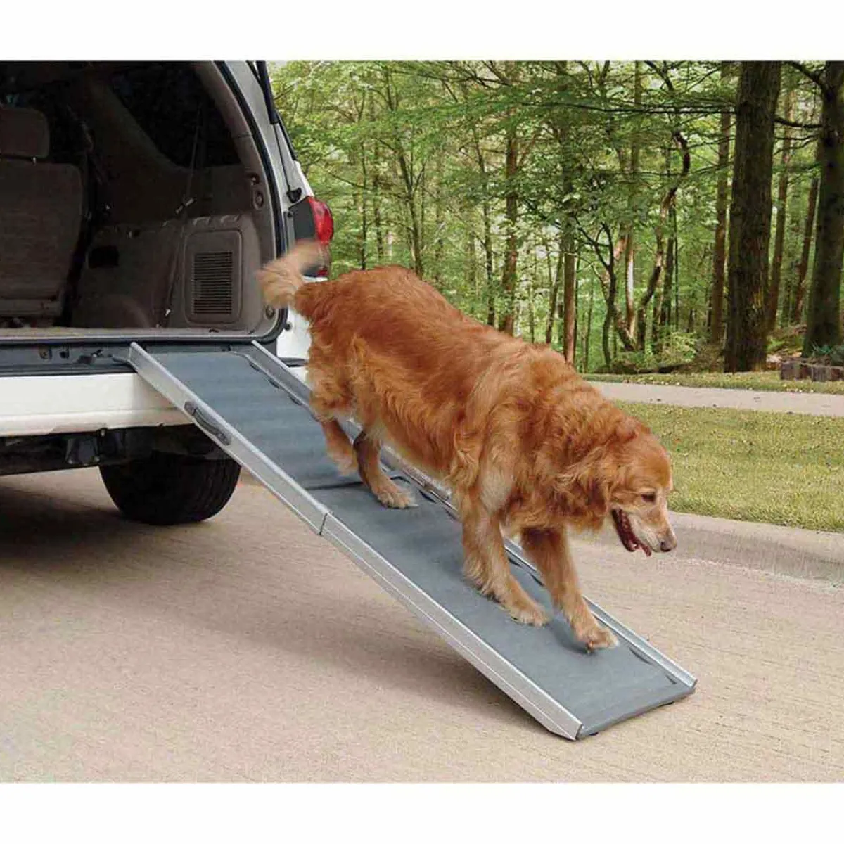 Ryan's Pet Supplies Solvit Deluxe Telescoping Pet Ramp