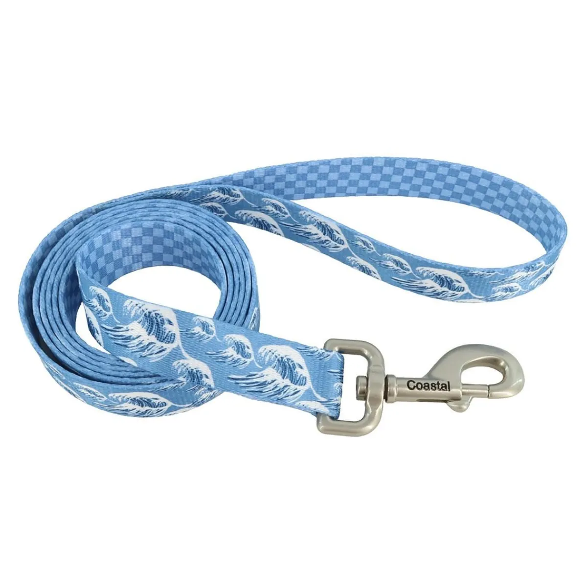 Ryan's Pet Supplies Sublime Dog Leash 1"x 6'