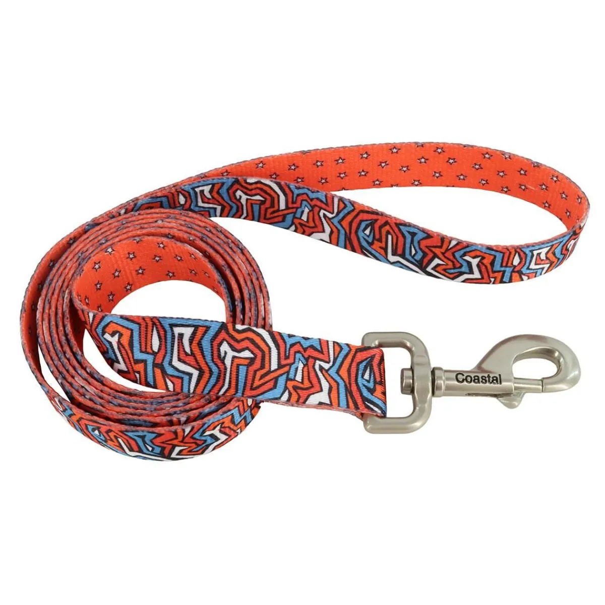 Ryan's Pet Supplies Sublime Dog Leash 1"x 6'