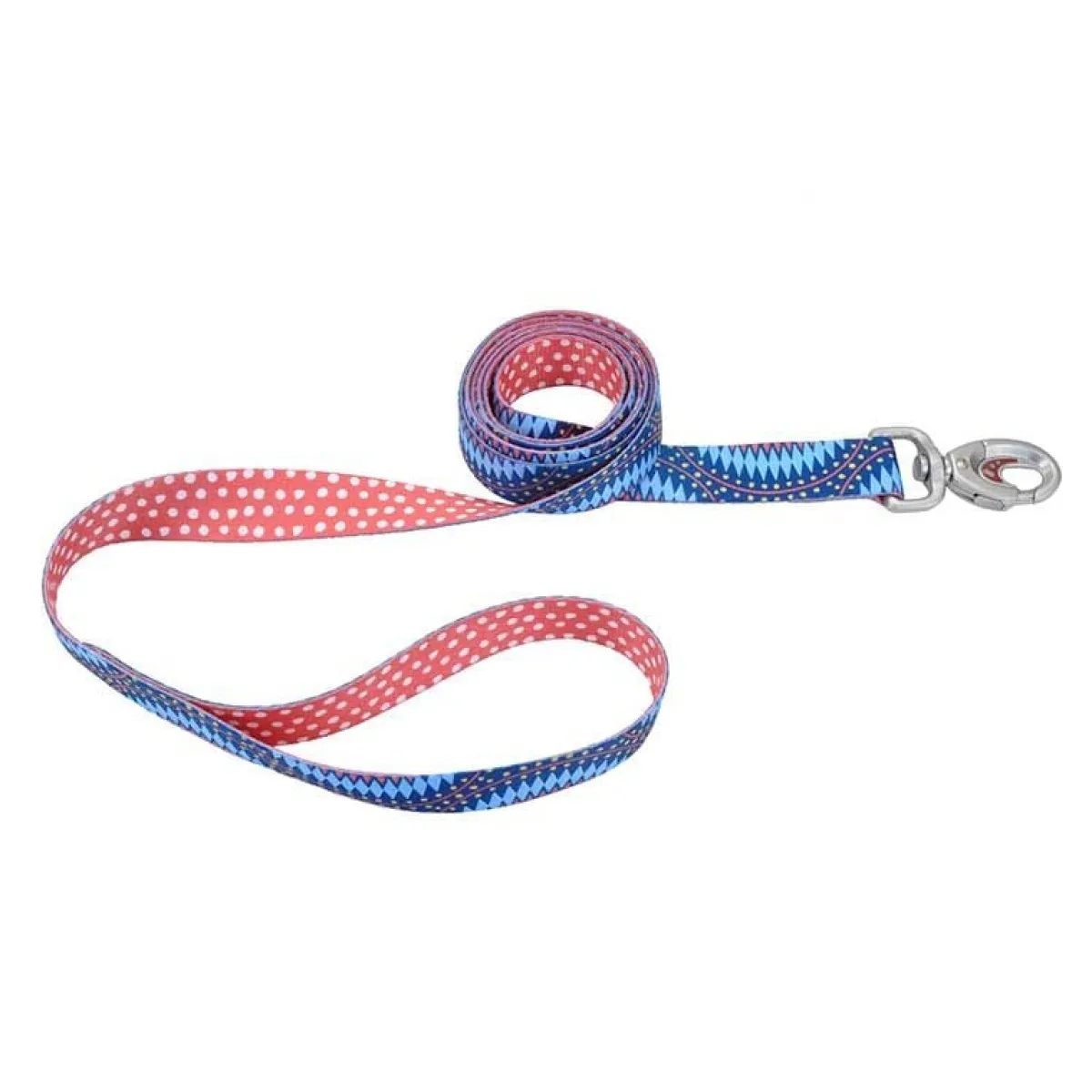 Ryan's Pet Supplies Sublime Leash - 6 feet