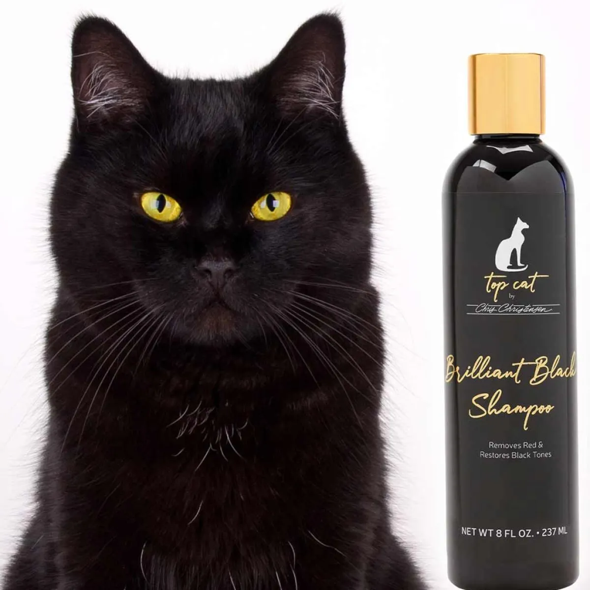 top_cat_brilliant_black_cat_shampoo_2.webp Ryan's Pet Supplies Top Cat Brilliant Black Cat Shampoo