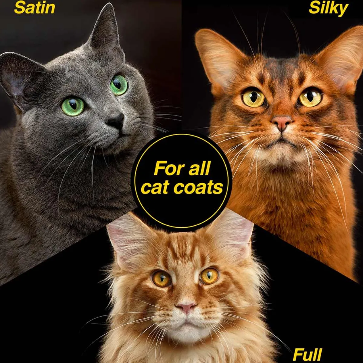 top_cat_clarifying_cat_shampoo_3.webp Ryan's Pet Supplies Top Cat Clarifying Cat Shampoo