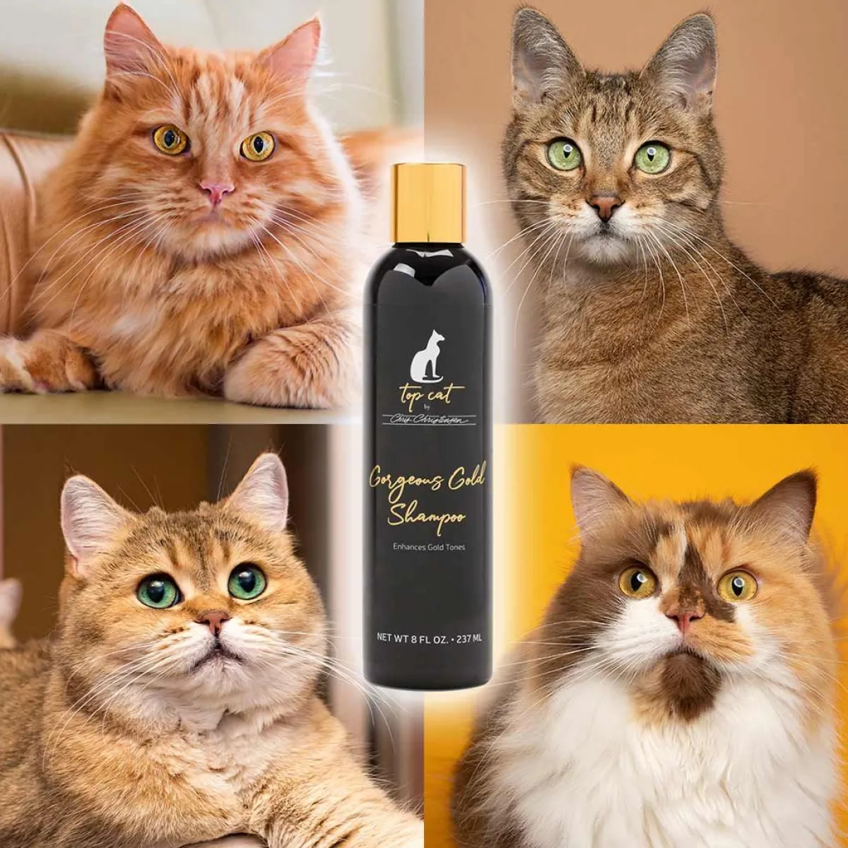 top_cat_gorgeous_gold_shampoo_2.webp Ryan's Pet Supplies Top Cat Gorgeous Gold Shampoo