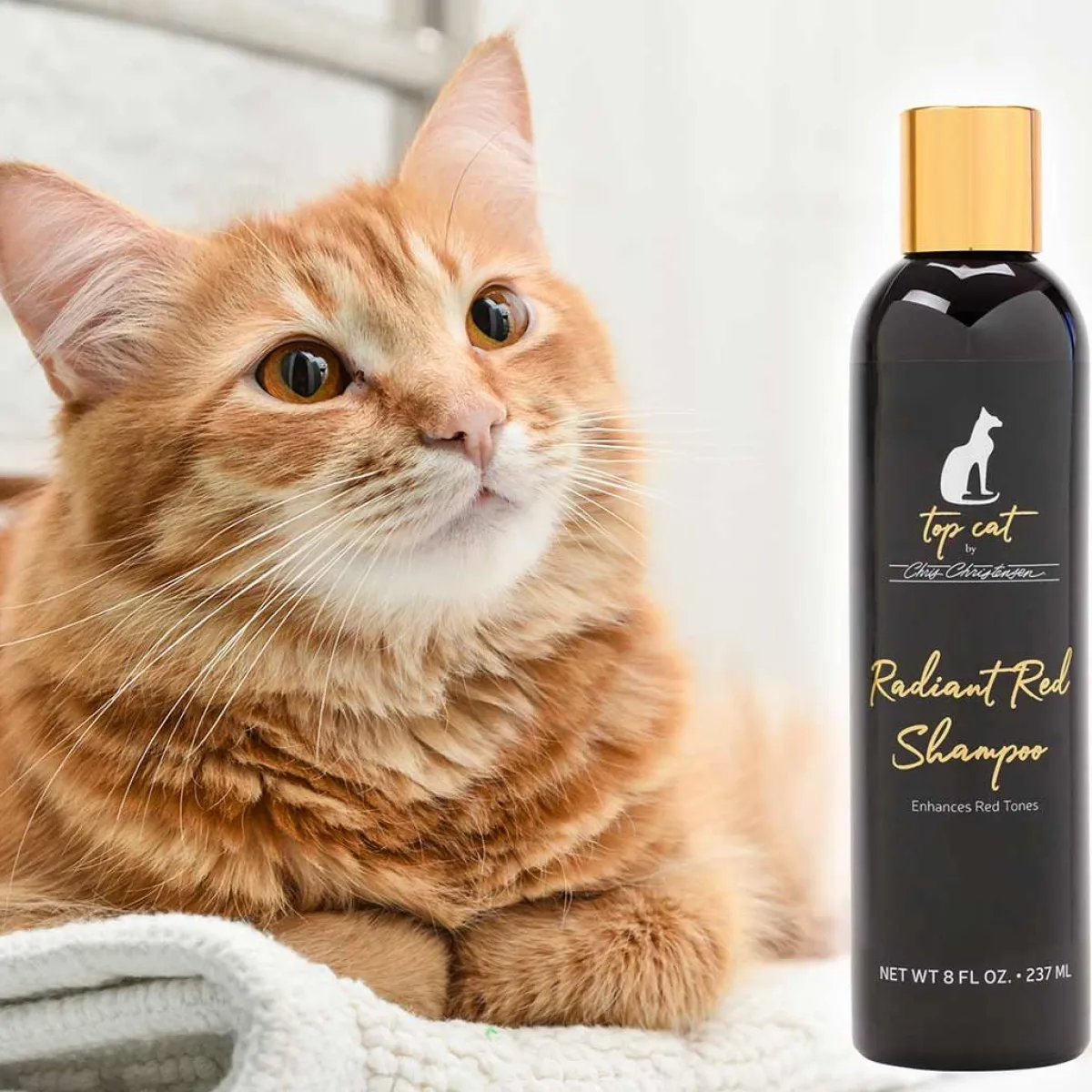 top_cat_radiant_red_cat_shampoo_2.webp Ryan's Pet Supplies Top Cat Radiant Red Cat Shampoo