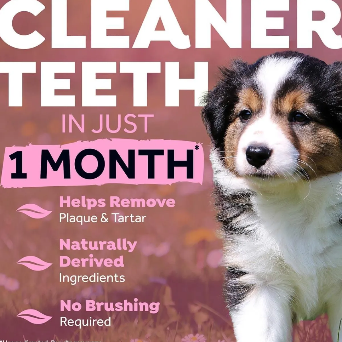 Ryan's Pet Supplies Tropiclean Oral Care Clean Teeth Gel For Puppies (2oz)