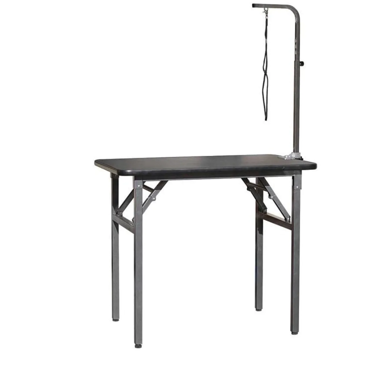 Ryan's Pet Supplies Value Groom Folding Grooming Table W/ Arm 30"x19"x32"